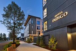 Indigo Silverthorne