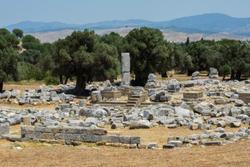Teos Ormanci Tatil Koyu