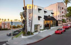 The Cormorant A Boutique Hotel