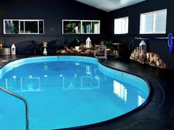 Sierra Blue Suites