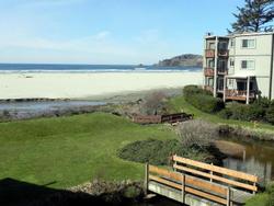 Little Creek Cove