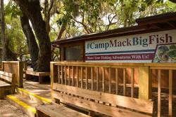 Camp Mack, a Guy Harvey Lodge, Marina & RV Resort