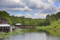 Camp Mack, a Guy Harvey Lodge, Marina & RV Resort