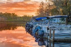 Camp Mack, a Guy Harvey Lodge, Marina & RV Resort