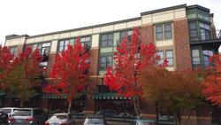 Orenco Lofts