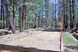 Goldmine Lodge