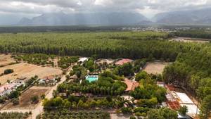 Antalya Orfe