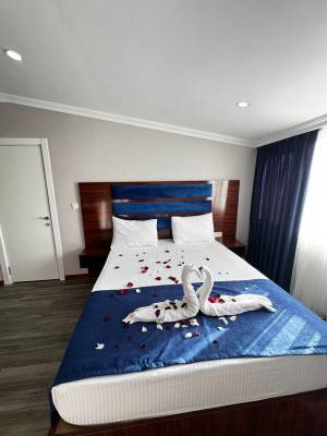 Lion King Hotel