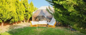 Casablanca Glamp Suit