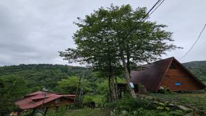 Bad Salgau