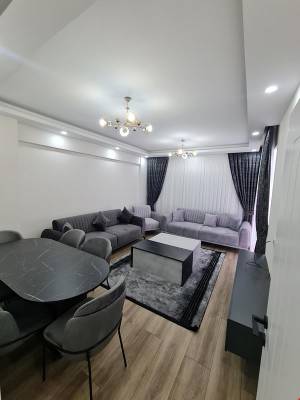 Consept Decor Daire