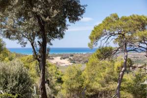 Carlotta 1 | Kaş