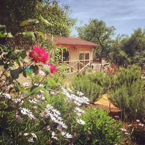 Oread Garden