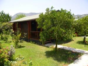 Armina Pension