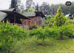 Olympos Otantik Pansiyon