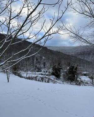 Puilboreau