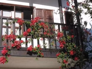 Türk Evi