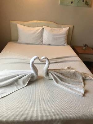 Otel Nese