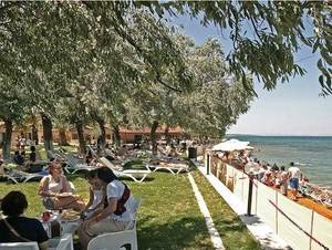 Palm Motel Beach Club