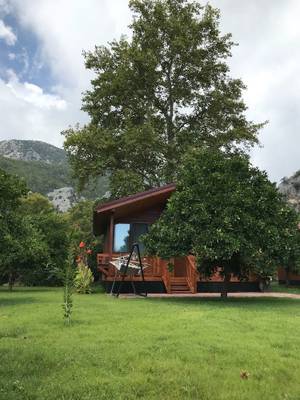 Asya Bungalow