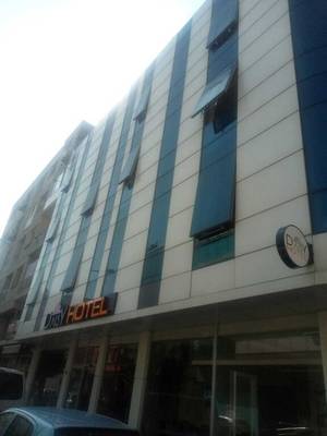 Daisy Hotel