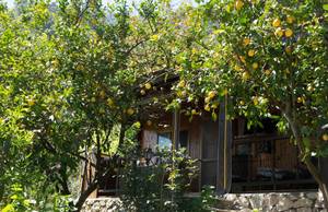 Kairos Bungalows