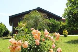 Cirali Villas Hotel Pansiyon