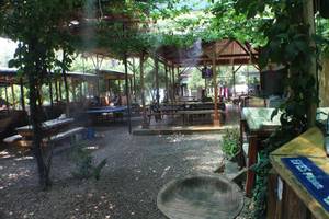 Olimpos Zeytin Pansiyon
