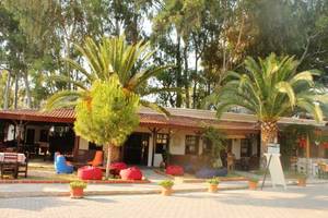 Medusa Cafe-Bar-Camping