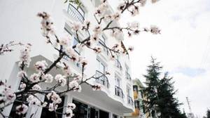 Koza Suite Hotel