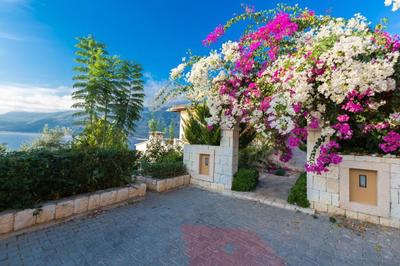 Villa Miras