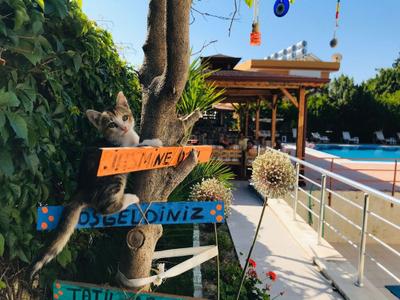 Jasmine Otel