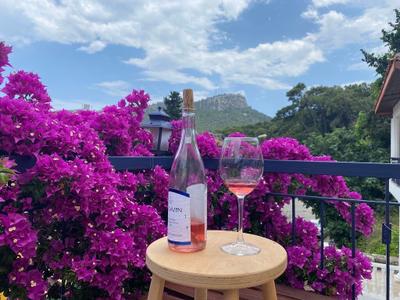 Naturella Hotel & Apart