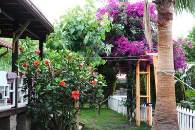 Villa Zeytin
