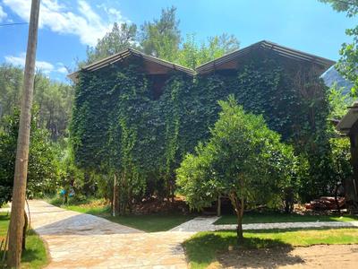 Olimpos Çamlık Pansiyon (Only Adults +16 )