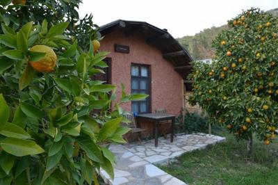 Simurg Evleri Olympos