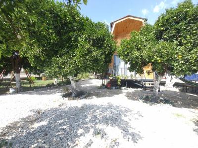 Orange Garden Bungalow