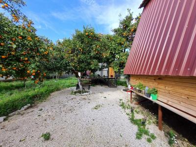 Orange Garden Bungalow