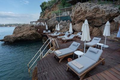 Perge Pine Green Adults Only 18+