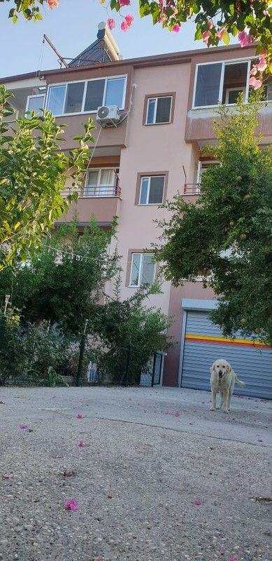 Yener Apart