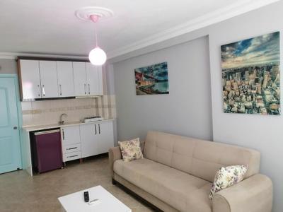 Zeynur Apart