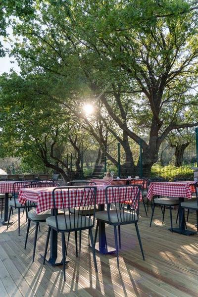 Leone Natural Otel
