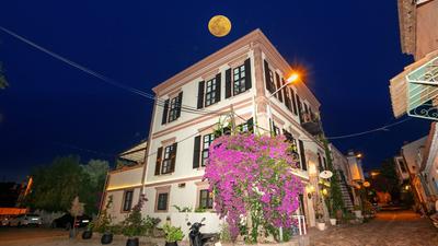 Siyah Lale Cunda 1841