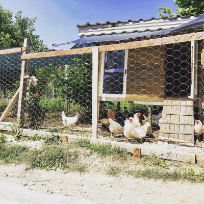 Enişte'nin Dağ Evleri