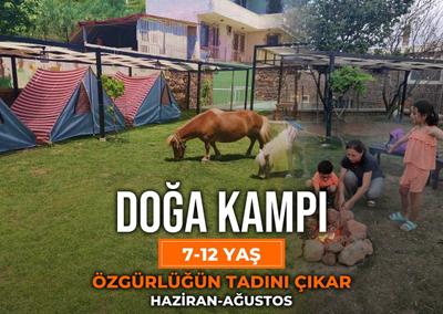 Alis Harikalar Diyarı