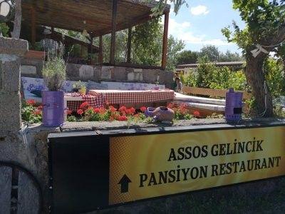 Assos Gelincik Pansiyon