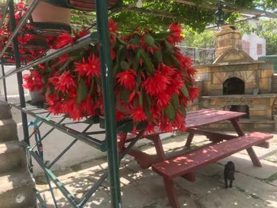 Güneyli Pansiyon