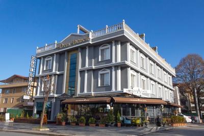 Otel Düzce Sürur & Spa