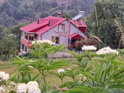 Paşanın Ali Konağı 