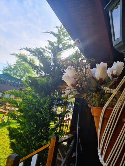 İpek Koza Motel